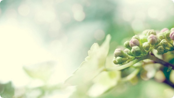 善良被套上了枷鎖：別讓自己的善意當(dāng)成別人的理所應(yīng)當(dāng)